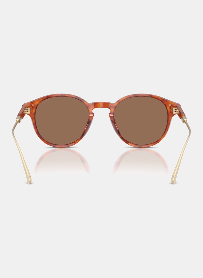 كوتش نظارة شمسية دائرية كاملة الحواف HC8428U - 577473 - Image 3